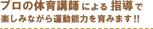 プロの体育講師